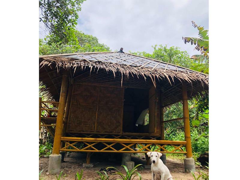 Chalee Tropicana Bungalow 阁帕延岛 外观 照片